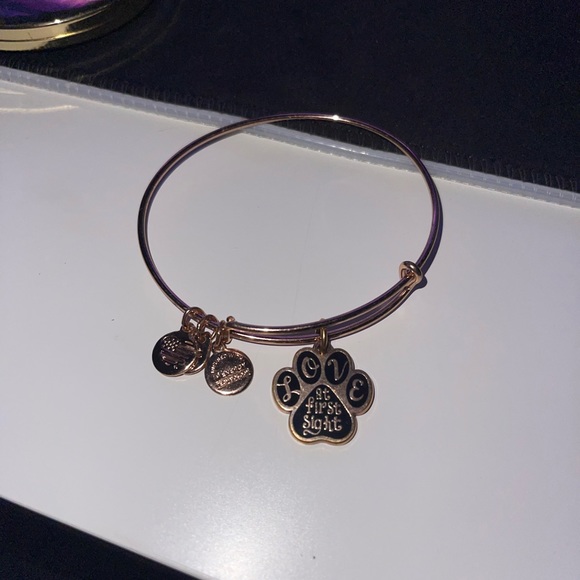 Alex & Ani Bracelet Set of 6 Bangles with Charms